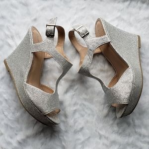 Silver Mesh Look Platform Wedges